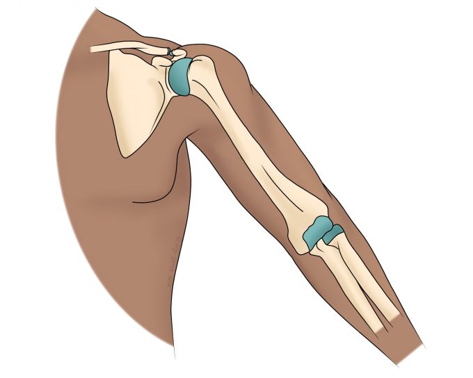 Shoulder and Elbow Pain